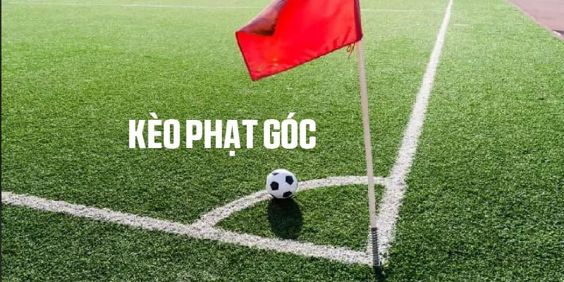 Nhận định kết quả trận qua phong độ thi đấu của 2 đội