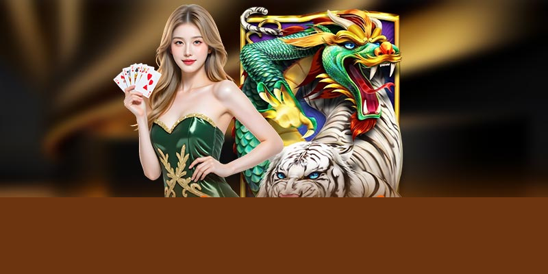 Thủ thuật giúp bạn thắng rồng hổ 60 giây
