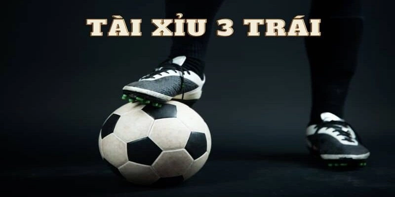 Cách đánh tài xỉu bóng đá luôn thắng từ chuyên gia